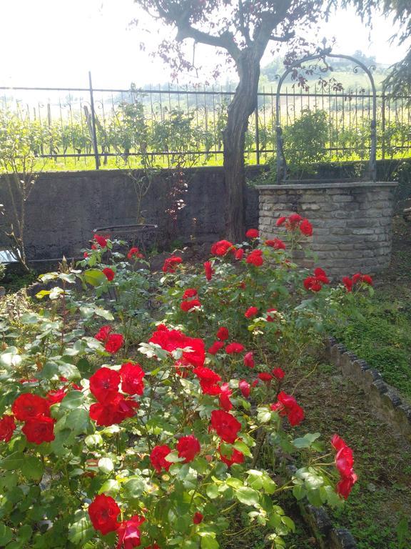 Casa Badinot Guest House Diano d'Alba Room photo