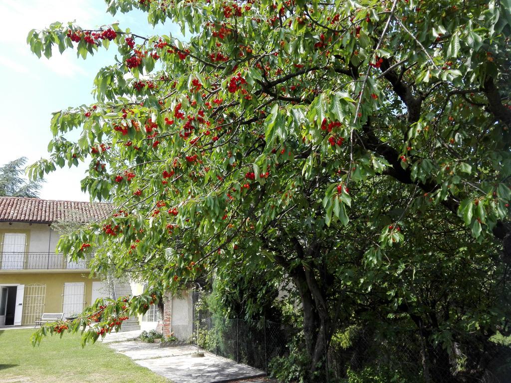 Casa Badinot Guest House Diano d'Alba Exterior photo